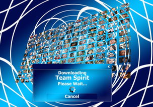 mk sports 体育-中国篮球的力量源自团结，中国篮球的骄傲